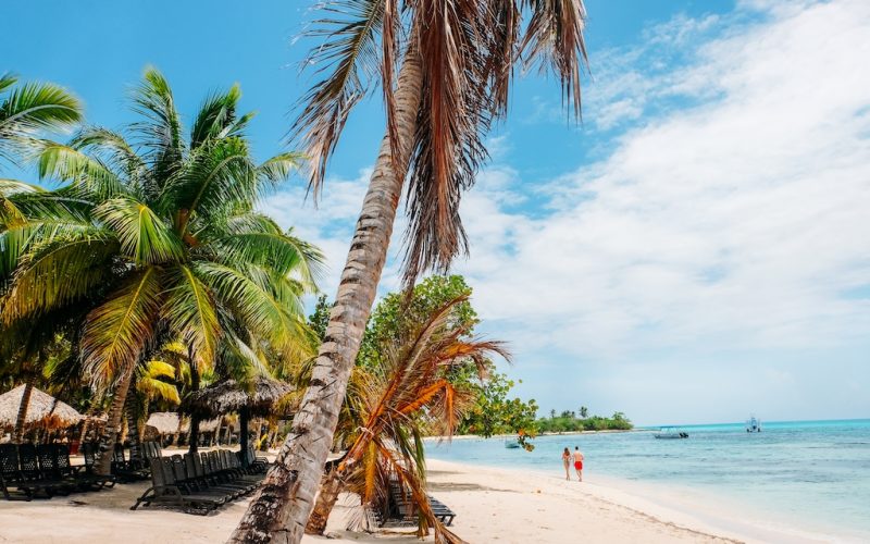 caribbean-beach-with-palm-trees-2022-11-16-19-07-00-utc