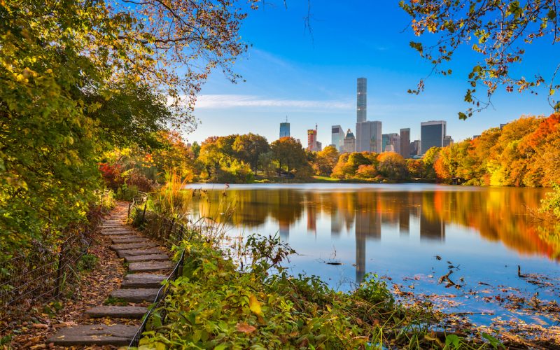 Central Park during autumn in New York City.