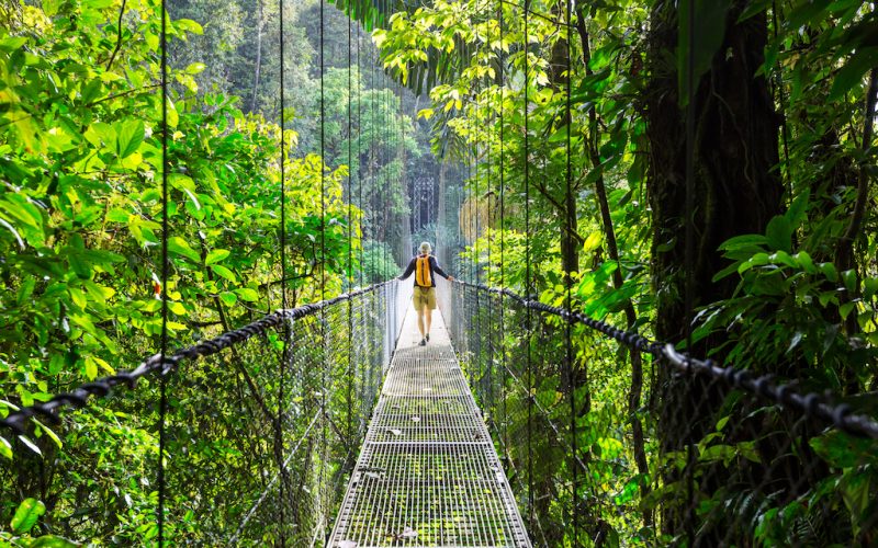 Hiking in green tropical jungle, Costa Rica, Central America