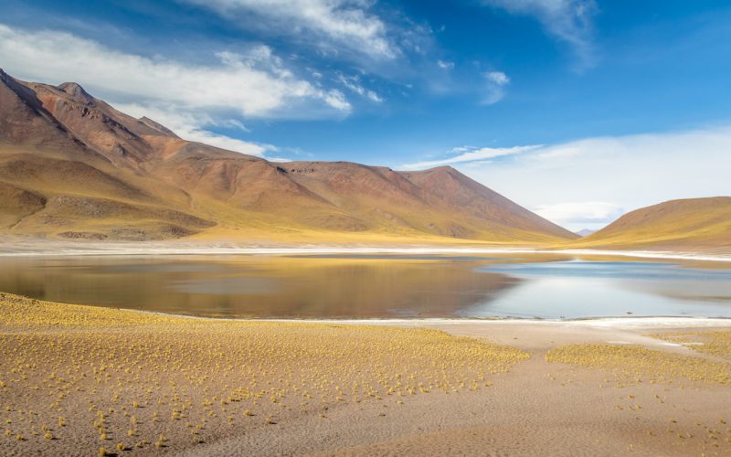 Miniques Lagoon and Volcano - Atacama Desert, Chile